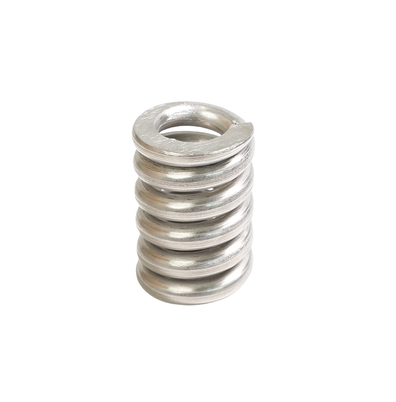 Valve Spring